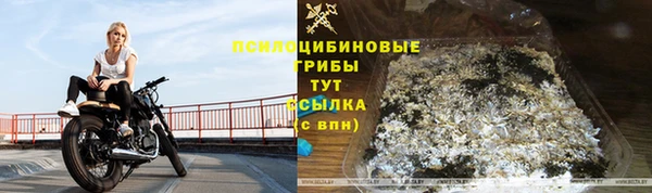 тгк Корсаков