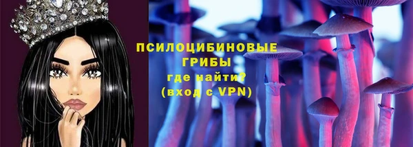 МДПВ Костерёво