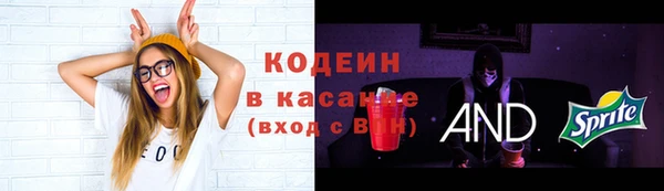 гидра Мурманск