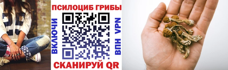 Псилоцибиновые грибы MAGIC MUSHROOMS Называевск
